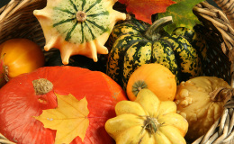 colorful pumpkin